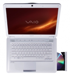 Sony VAIO VGN-CS190JTW 