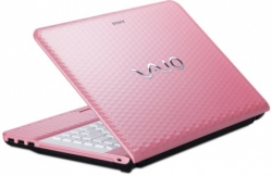 Sony VAIO VPC-EG1S1R/P