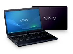 Sony VAIO VPC-F11DGX 