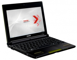 Toshiba NB550D-110
